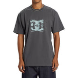 DC Shoes Star Classic T-Shirt In Magnet
