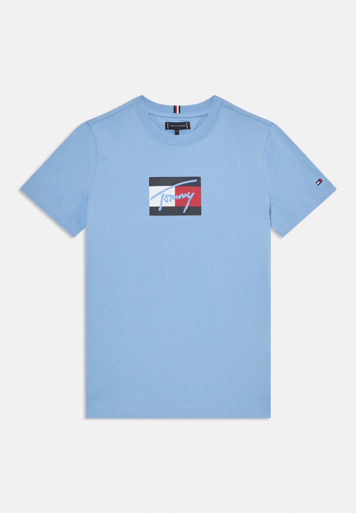 Tommy Hilfiger Boys Script Flag Print T-Shirt In Blue