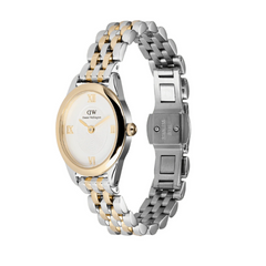 Daniel Wellington Beans Link Watch For Women