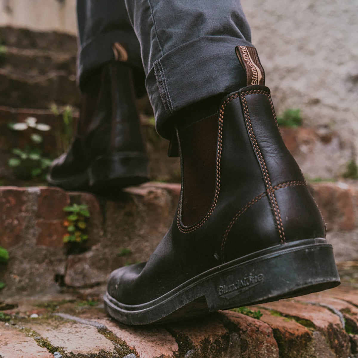 Blundstone 062 Mens Elastic Sided Dress Stout Brown Boots Sedgars SA Blundstone 062 Mens Elastic Sided Dress Stout Brown Boots Sedgars SA