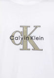 Calvin Klein Mens Tricolor Monologo Graphic T-Shirt In White
