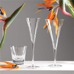 Whiskey Glass Set Of 4-Streletzia