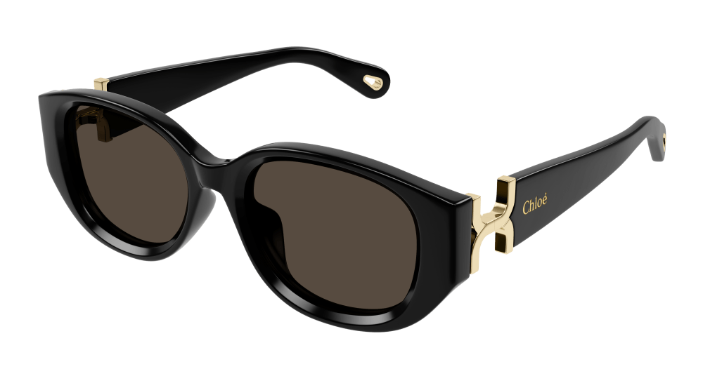 Chloe Sunglasses Womens In Black Brown CH0237SK-001