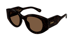 Chloe Sunglass Woman Havana Brown CH0251S-002