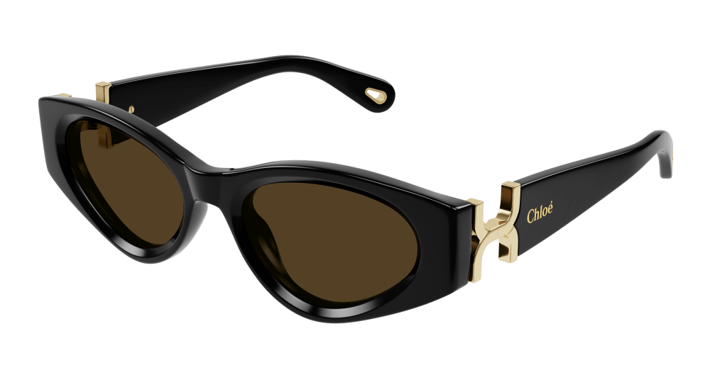 Chloe Womens Sunglasses In Black Brown CH0259S-001
