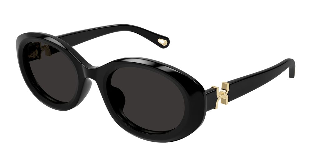 Chloe Sunglasses Womens In Black Grey CH0323SK-001