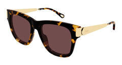 Chloe Sunglasses Womens In Havana Gold Brown CH0349S-003