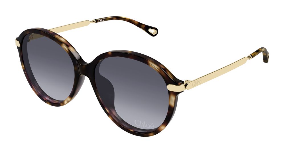 Chloe Sunglasses Womens In Havana Gold Violet CH0358SK-002