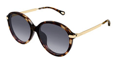 Chloe Sunglasses Womens In Havana Gold Violet CH0358SK-002