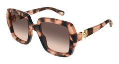 Chloe Sunglasses Womens in Havana Orange CH0301S-006