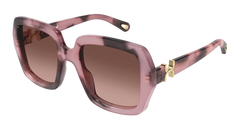 Chloe Sunglasses Womens in Havana Pink CH0301S-007
