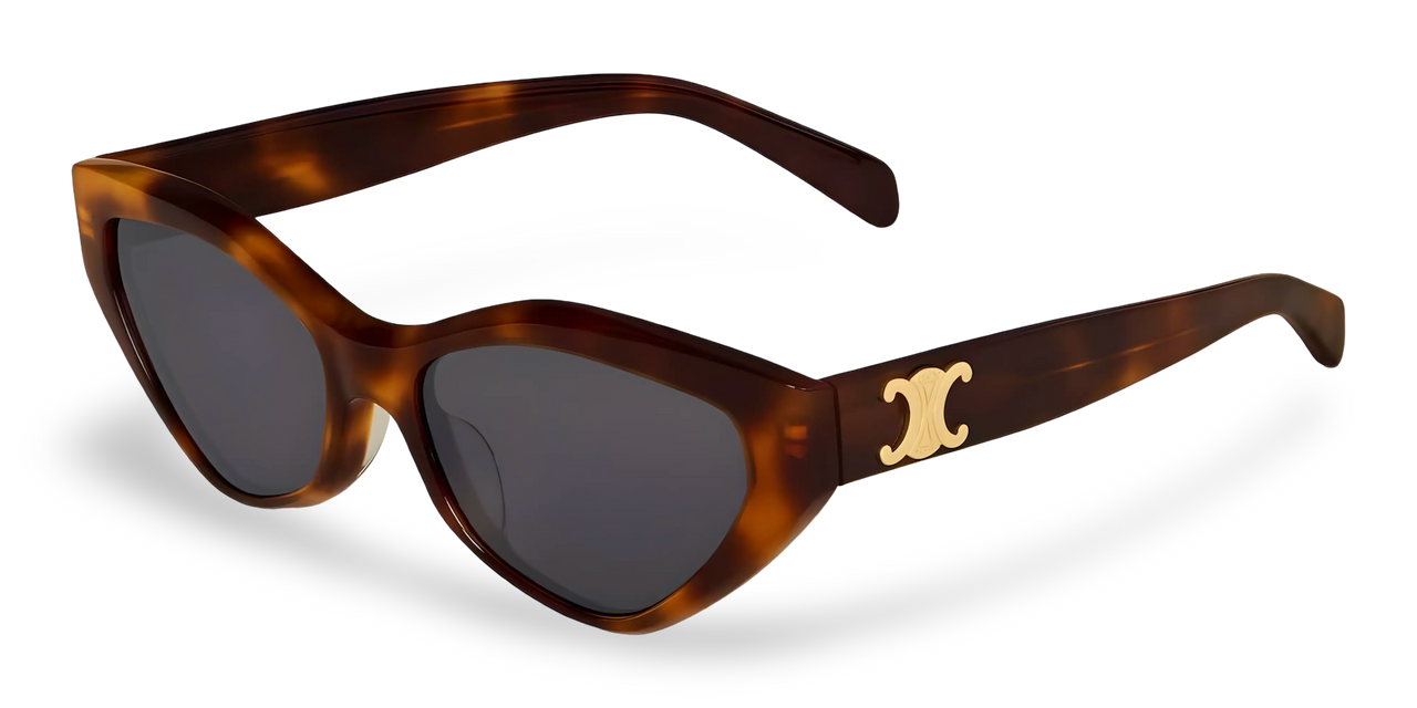 Celine Womens Triomphe Sunglasses In Brown