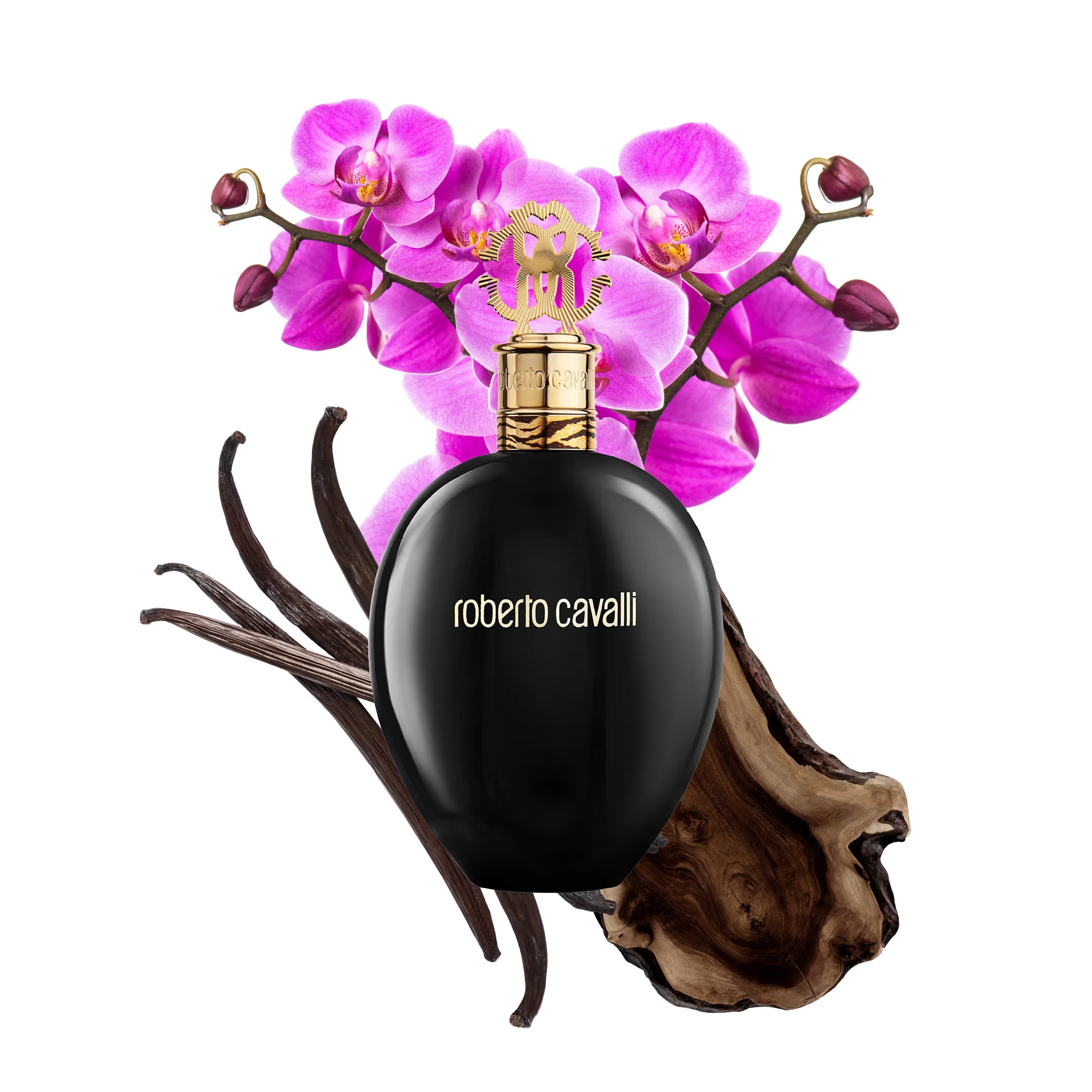 Roberto Cavalli Signature Nero Assoluto EDP
