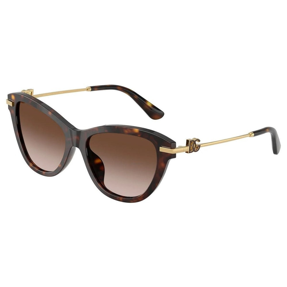 Dolce & Gabbana 502 Womens Sunglasses In Brown