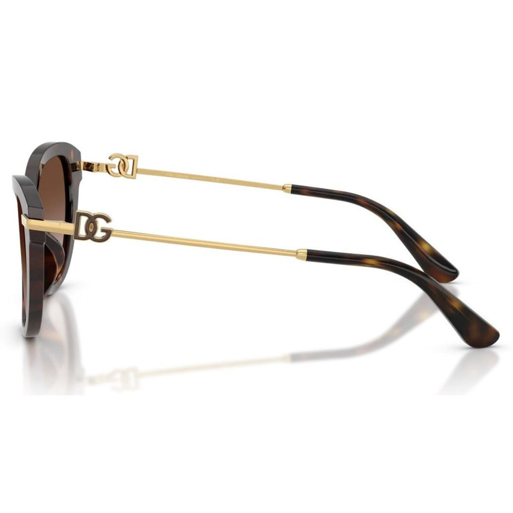 Dolce & Gabbana 502 Womens Sunglasses In Brown