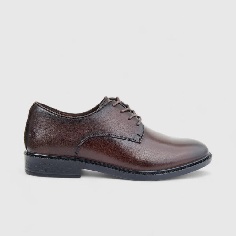 Hush Puppies Mens Harrington Leather Shoe In Brown