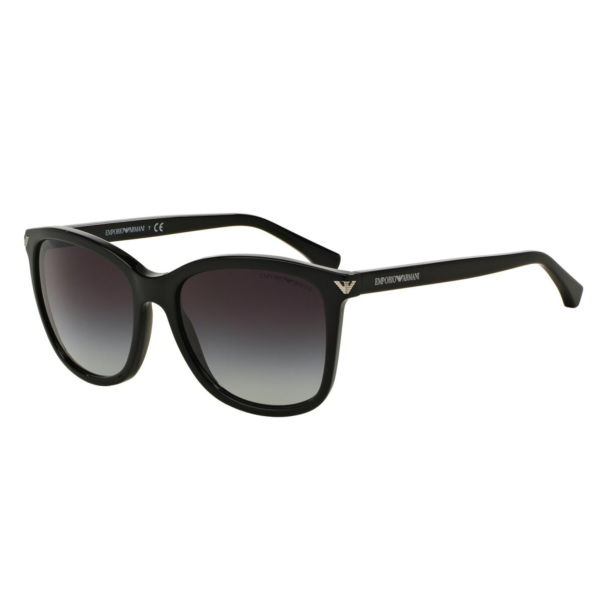 Emporio Armani Unisex Sunglasses In Shiny Black