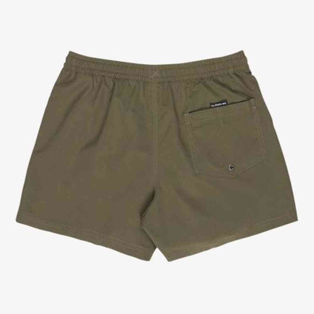 Quiksilver Mens Everyday Solid Volley 15 Shorts In Green