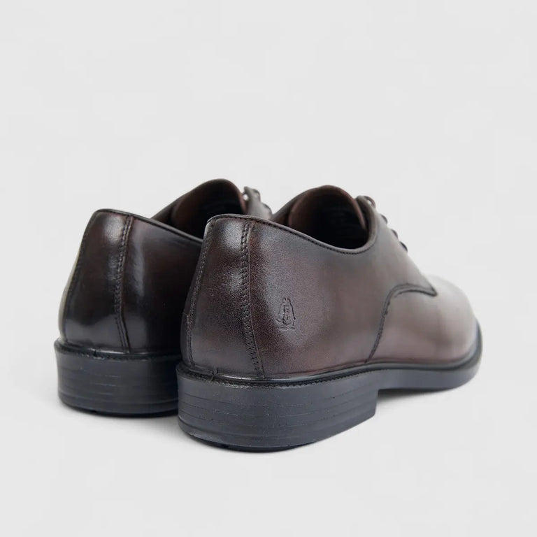 Hush Puppies Mens Harrington Leather Shoe In Brown