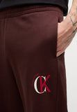 Calvin Klein Mens Graphic Joggers In Dark Brown