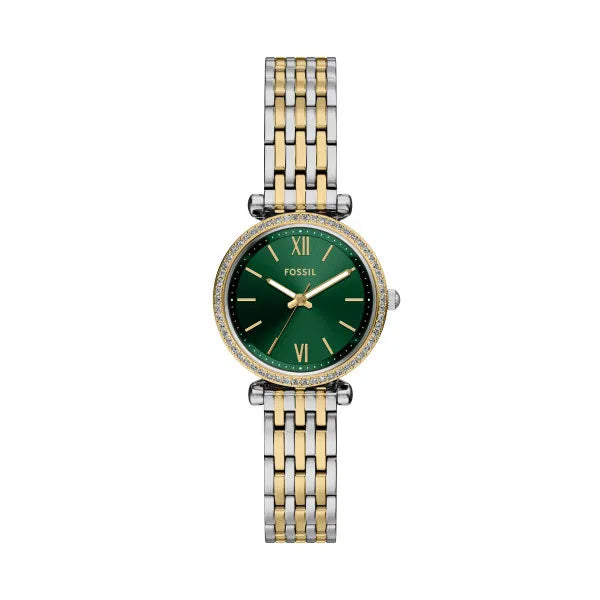 Fossil Tt Carlie Tt Ss Class