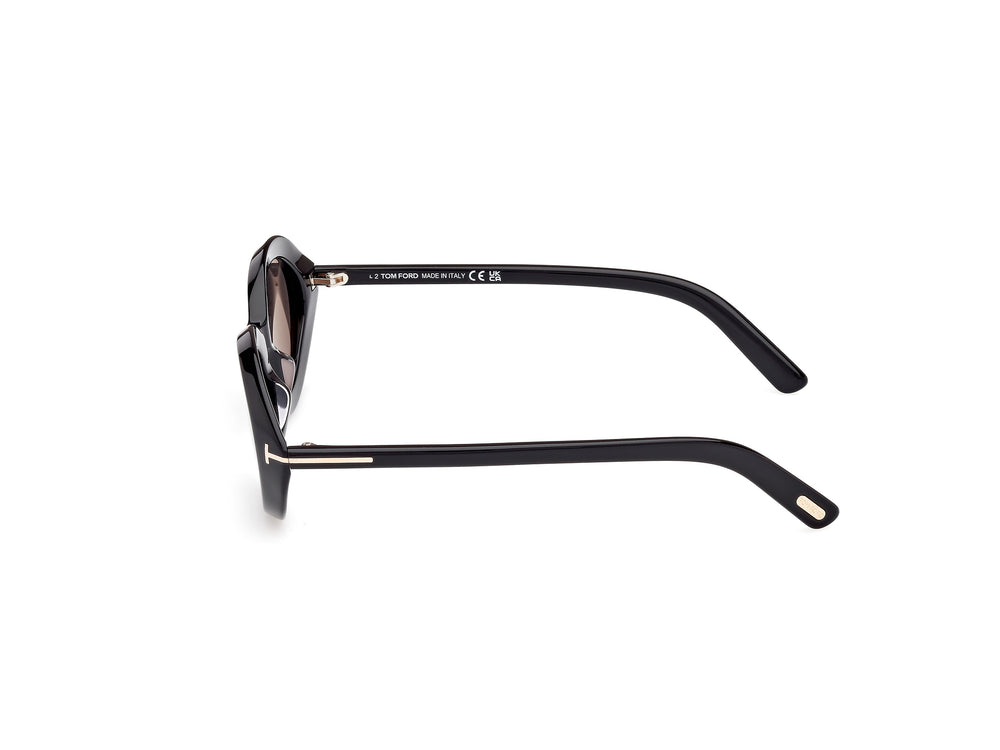 Tom Ford Womens Carmen Sunglasses In Black