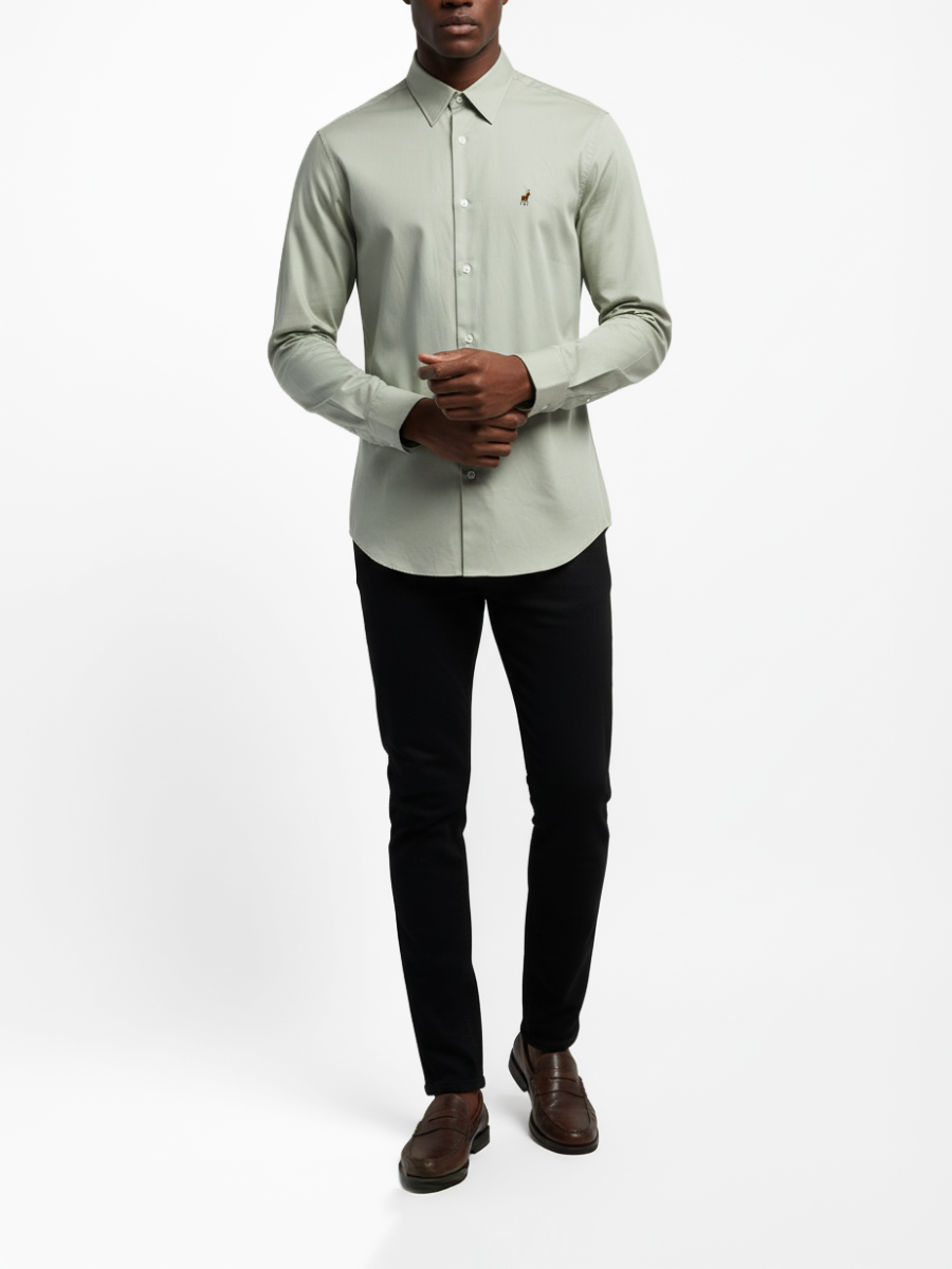 Polo Mens Oxford Iman Shirt In Sage