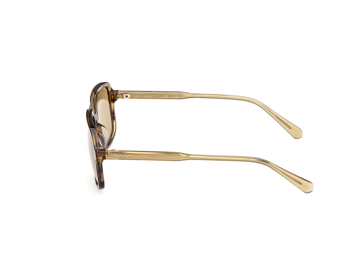Gant Sunglasses Womens In Shiny Black   GA00016-5495E