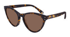 Gucci Sunglass Woman Havana Brown GG0569S-002