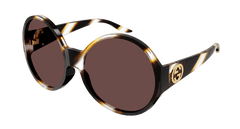 Gucci Sunglass Woman Havana Brown GG0954S-007