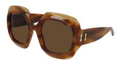 Gucci Sunglass Woman Havana Brown GG0988S-002