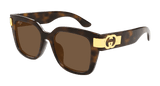 Gucci Sunglass Woman Havana Brown GG1690SK-002