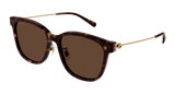 Gucci Sunglasses Womens In Havana Gold Brown GG1884SK-002