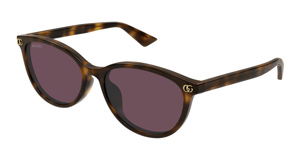 Gucci Sunglasses Womens In Havana Violet GG1818SK-002