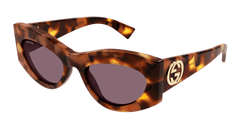 Gucci Sunglasses Womens In Havana Violet GG1843S-003