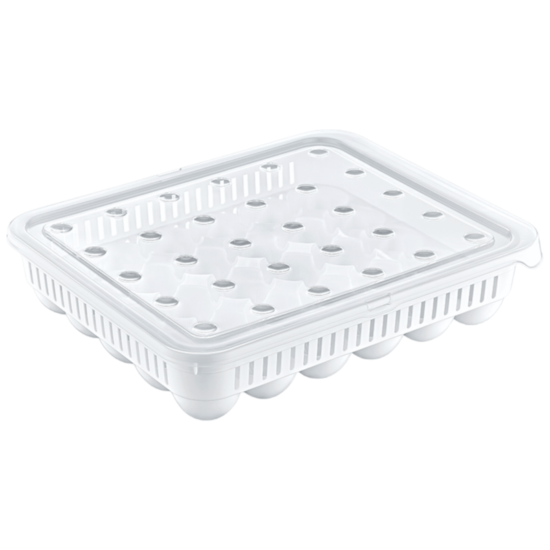 Hobby Life 30 Pcs Egg Storage Box In White