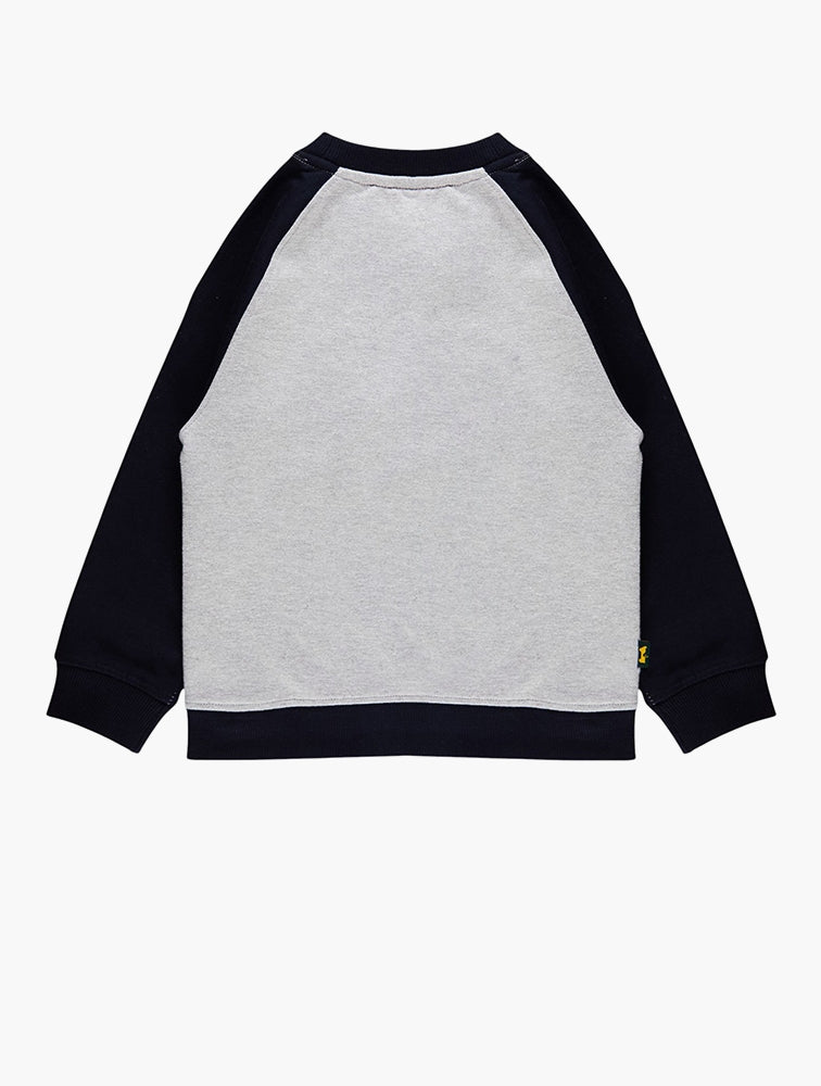 Jeep Boys Raglan Crew Sweater In Grey & Blue