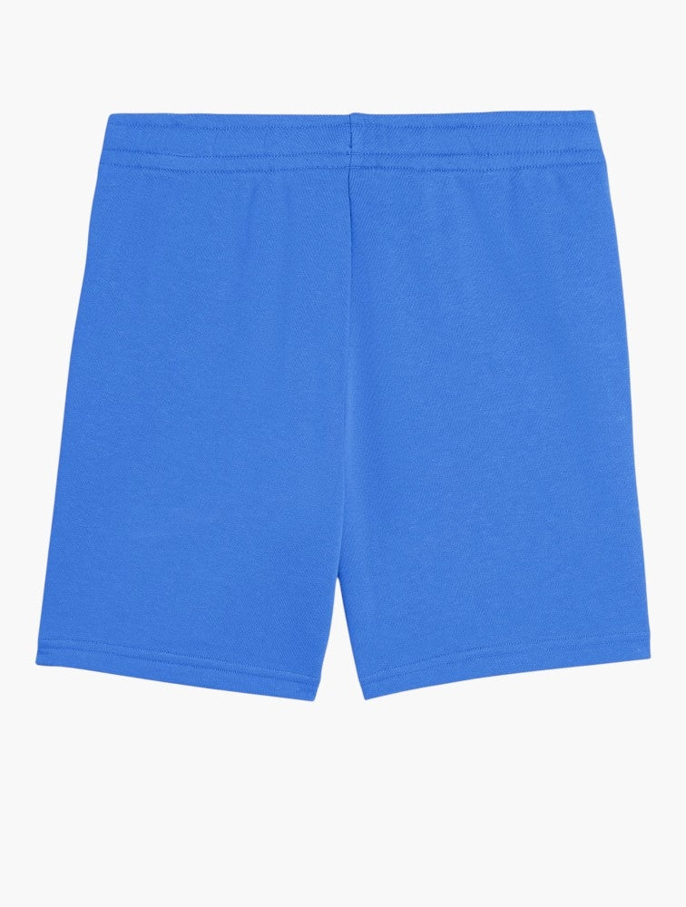 Puma Boys Essential 2 Color No.1 Logo Shorts In Blue