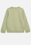 Soviet Zander Boys Crew Neck Sweat Top Light Sage