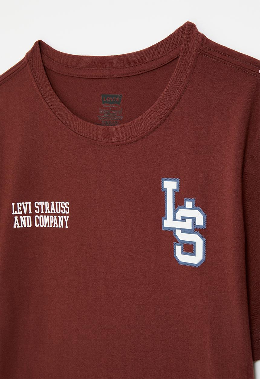 Levis Boys Spirit T-shirt In Fired Brick