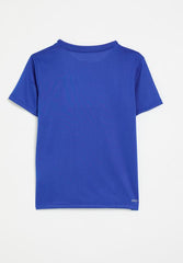 Nike Boys Dri-Fit Legend T-Shirt In Royal