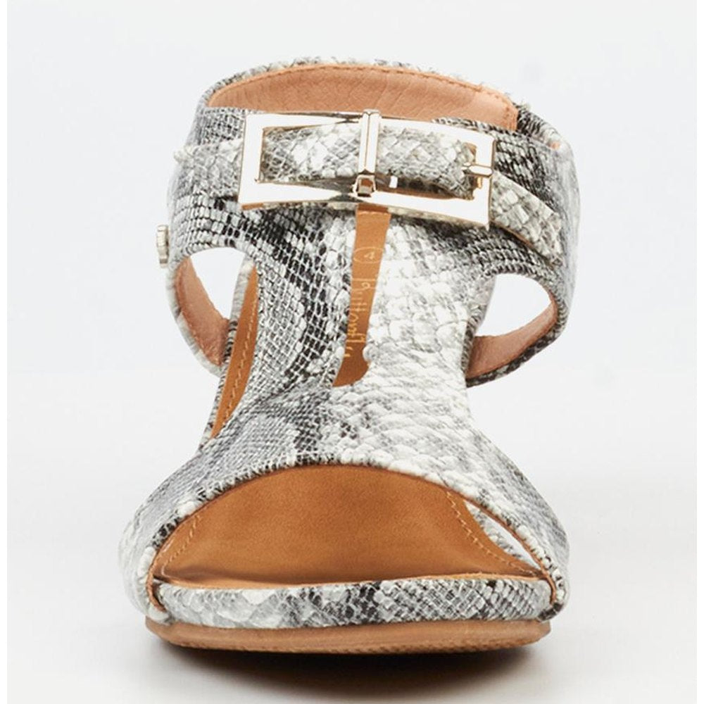 Butterfly Feet Ladies Shani 13 Shoes In Snake