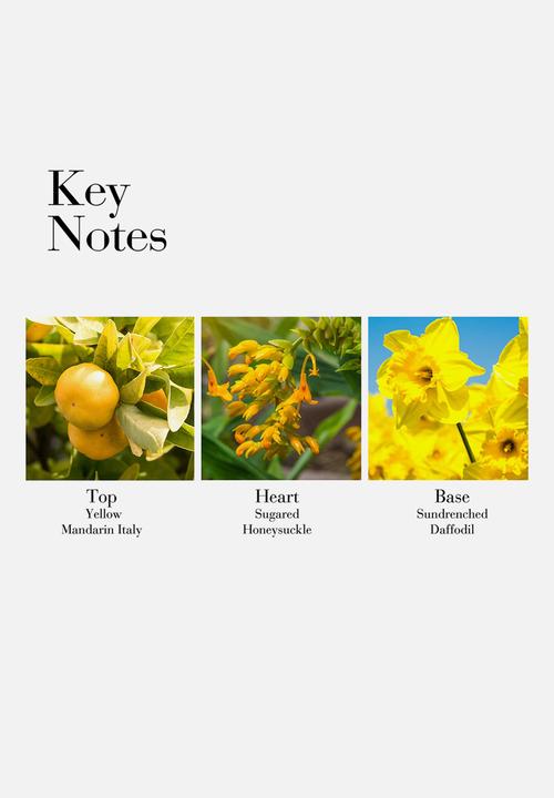 Elizabeth Arden Sunflowers Sunrise Edt