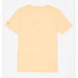 Converse Sustainable Core Short Sleeve T-Shirt In Neon