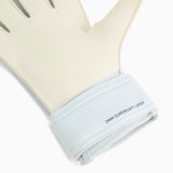 Puma Ultra Play Goalkeeper Gloves In Blue And White