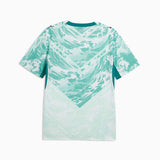 Puma Mens Portugal Away Jersey Replica In White And Green