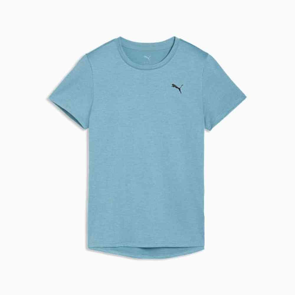 Puma Womens Tad Essential Heather T-Shirt In Blue