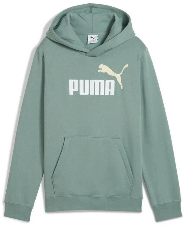 Puma Unisex Eseential 2 Color No.1 Logo Hoodie In Sage