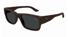 Puma Sunglasses Man Havana Smoke Pu0438S-003