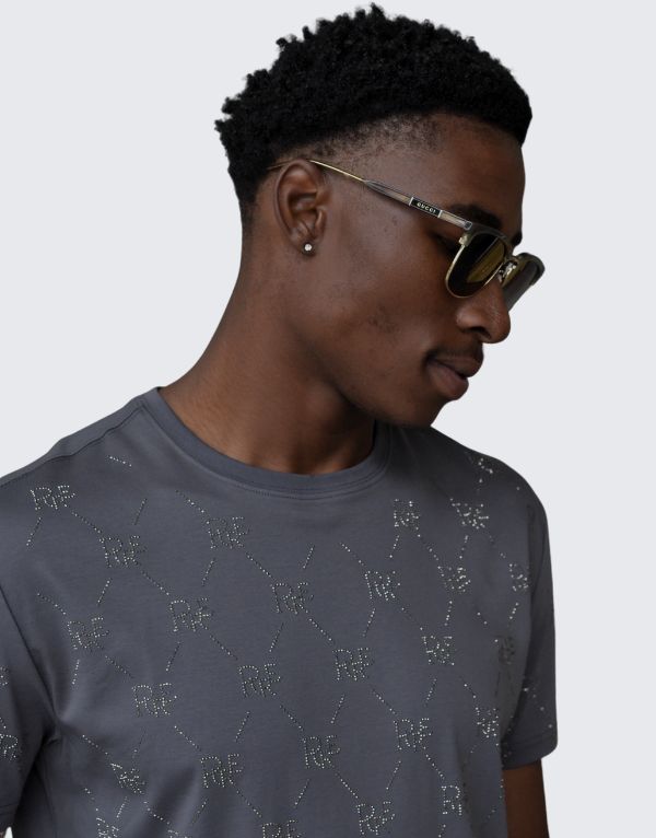 Pure Premium Vega T-shirt In Grey